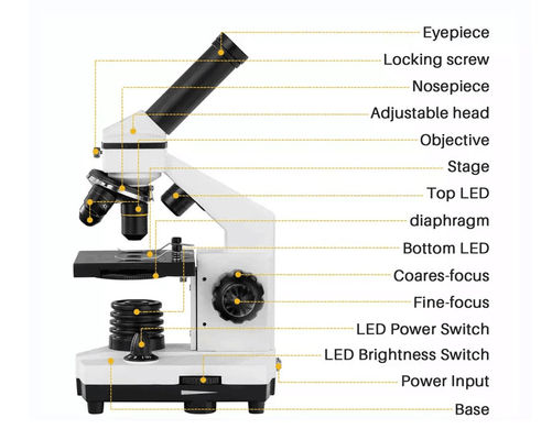 Monocular ODM биологического микроскопа 640X студента Drawtube