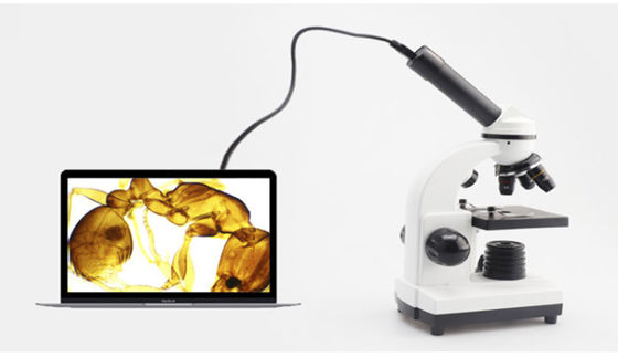Monocular ODM биологического микроскопа 640X студента Drawtube